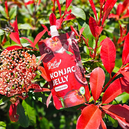 Delilog Konjac Jelly (Pomegranate) 150ml